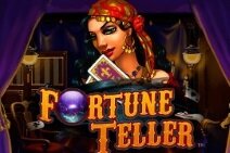 FORTUNE-TELLER