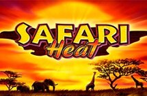 Safari-Heat215х141