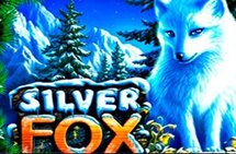 Silver-Fox_215х141