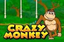 crazy-monkey-215x141t